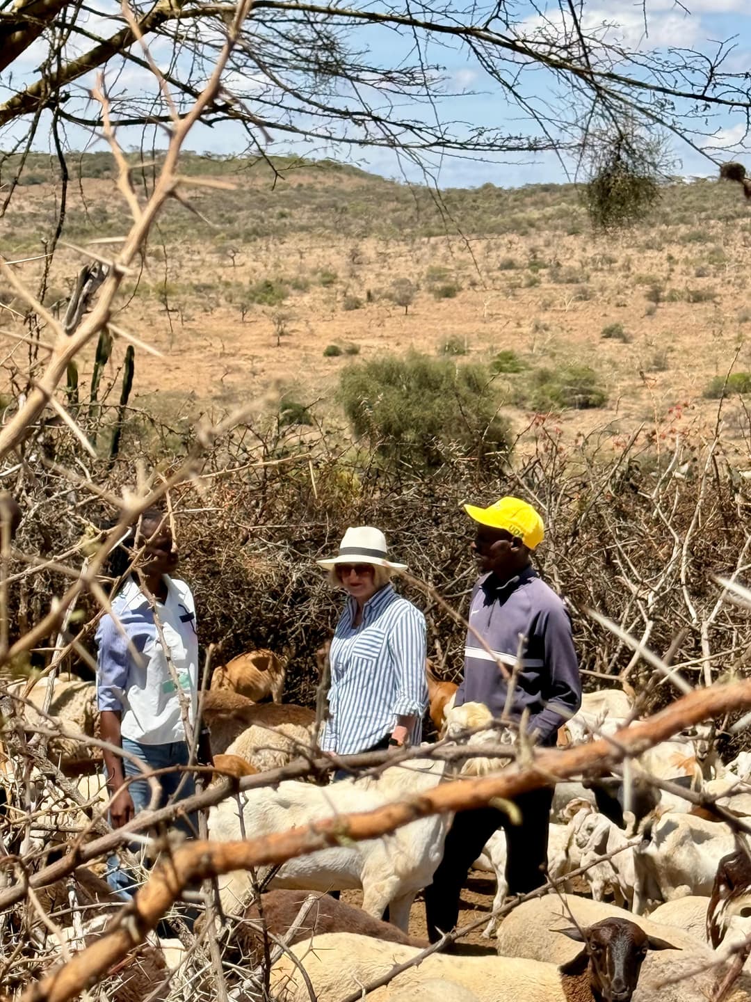 Goats Are the Real GOAT: Reading Kenya’s Livestock Wealth Gradient